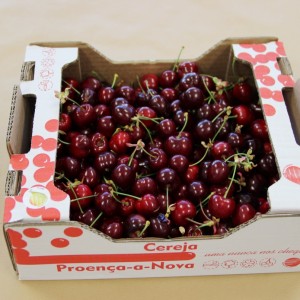 Cereja - António Laia 