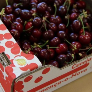 Cereja - Maria Alice Braga Ribeiro